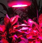 Hydroponics 90w-GU &amp; Horticulture &amp; Serra ha portato coltivi le luci per piante d'appartamento