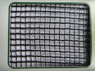 protezione frangivento agricola dell'HDPE del vergine di 100% che cattura con la rete la maglia ad alta resistenza di 2MM x di 2MM