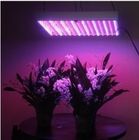 LED crescere la pianta RCG14W luce per serra risolvere la dissipazione del calore ottimamente