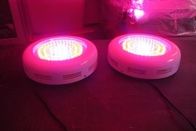 Miglior crescere impianto luce a LED LAMPADINE RCGOFU 90W (90x1W) per effetto serra