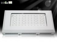 Caldo prezzo Hydroponics &amp; orticoltura serra LED crescere impianto luce RCG55 * 3W