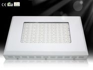 DIY LED crescere impianto luce RCG144 * 3W per idroponica serra 3-5times HPS