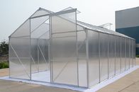 Serra di alluminio del giardino della casa dello strato del policarbonato della struttura per il pomodoro/verdura di coltura idroponica
