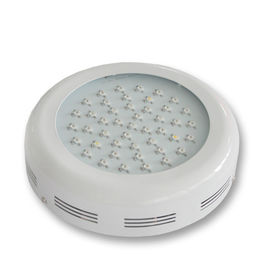 Luce progressiva 3watt 85 rispettosi dell'ambiente della pianta di alto potere LED - 265v Istruzione Autodidattica > 80