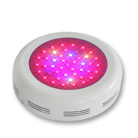 Colore economizzatore d'energia della luce progressiva 3w della pianta del giro LED che cambia per la pianta Gorwing e fiorire