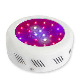 Il LED di fioritura pianta la crescita di pianta della luce progressiva 3watt con 50000 ore di durata della vita di lunghezza
