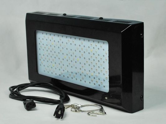 La pianta rossa e blu ad alta intensità del LED coltiva Ligh 3watt per illuminazione dell'interno dell'orto