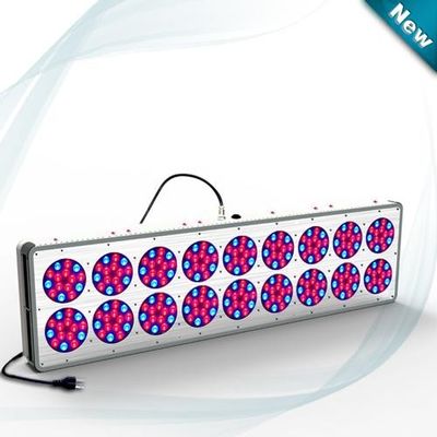 Luce progressiva 630nm/460nm 612W~644W D C 32 di coltura idroponica LED di rosso blu ~ 45V, pianta del LED coltivano la lampada