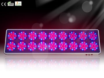 Miglior LED Hydroponics &amp; orticoltura crescere impianto luce RCAPO18 serra