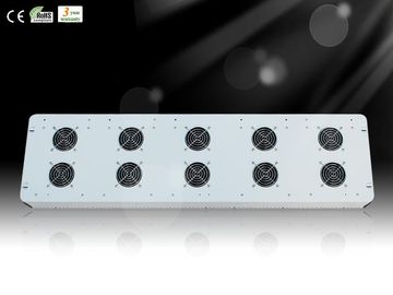 Miglior LED Hydroponics &amp; orticoltura crescere impianto luce RCAPO18 serra