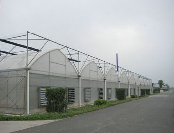 serre commerciali del film plastico della sezione di 4000mm, portata di 8000mm