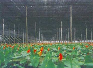 Reticolato all'aperto del parasole della serra per la verdura, crescita del fiore