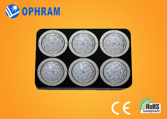 Luci progressive di spettro LED di alto potere IP20 per la piantina/frondoso pieni