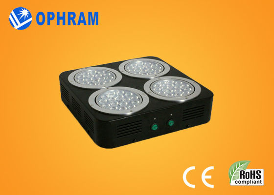 120W IP20 AC85-265V Epistar 10%-90% luci progressive complete di spettro LED di RH