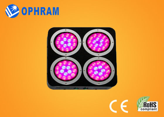 120W IP20 AC85-265V Epistar 10%-90% luci progressive complete di spettro LED di RH