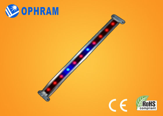 10W SMD luci progressive ortagge/di fioriture di 2835 del LED con l'angolo d'apertura 180°