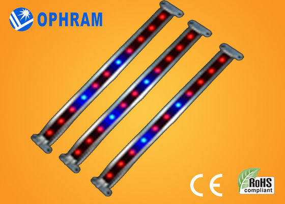 10W SMD luci progressive ortagge/di fioriture di 2835 del LED con l'angolo d'apertura 180°