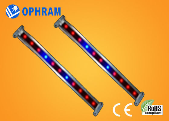 10W SMD luci progressive ortagge/di fioriture di 2835 del LED con l'angolo d'apertura 180°