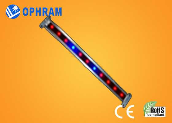 10W SMD luci progressive ortagge/di fioriture di 2835 del LED con l'angolo d'apertura 180°