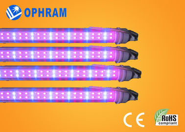 50Hz/60Hz 230V/240V luci progressive complete di spettro LED per la verdura