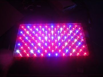 luce progressiva della serra LED di alto potere 120W