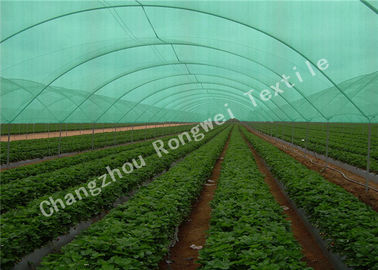 Reti dell'ombra dell'HDPE di lunga vita/panni agricoli ombra della serra tasso dell'ombra di 99% - di 10%
