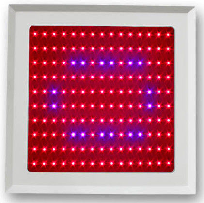 la pianta di 150w LED coltiva lo spettro blu rosso-chiaro per la tettoia della verdura e garde botanico